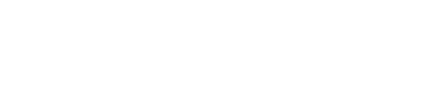 Sngular